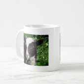 Amy's Lamb Kaffeetasse (Vorderseite Links)