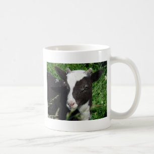 Amy's Lamb Kaffeetasse