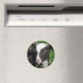 Amy's Lamb Magnet (In Situ (Geschirrspüler))