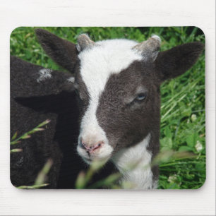 Amy's Lamb Mousepad