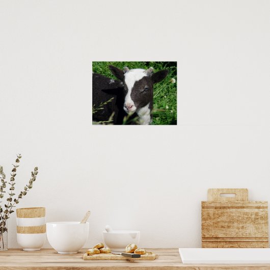 Amy's Lamb Poster (Küche)