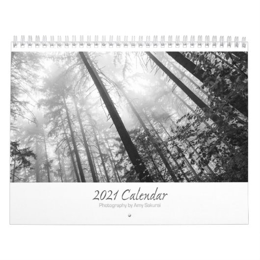 Amy's Monochrome-Foto-Kalender 2021 Kalender (Titelbild)