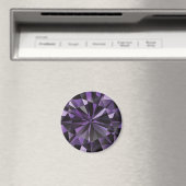 Amythest Magnet (In Situ (Geschirrspüler))