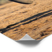 An African Elephant mother and calf on the move Poster (Ecke)