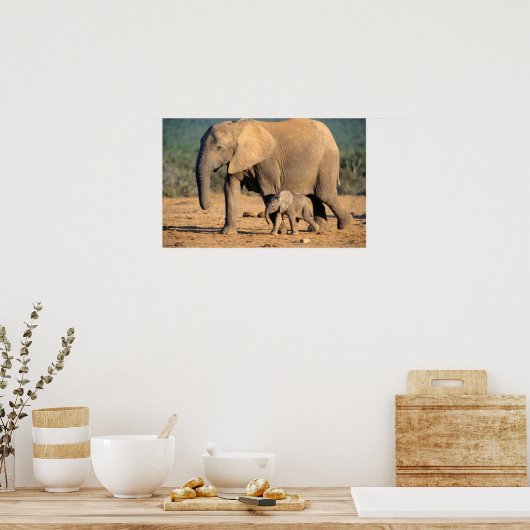 An African Elephant mother and calf on the move Poster (Küche)