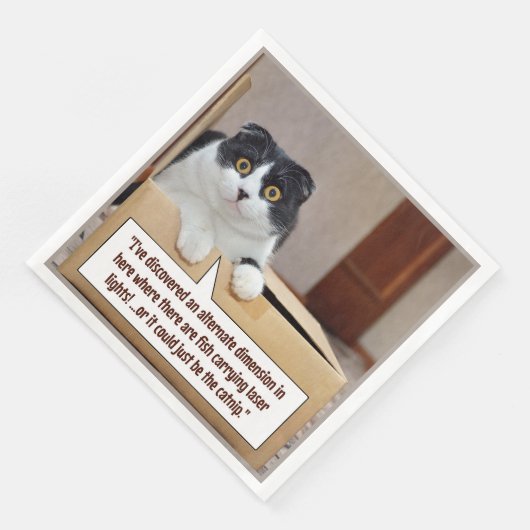 An alternate dimension serviette (Ecke)