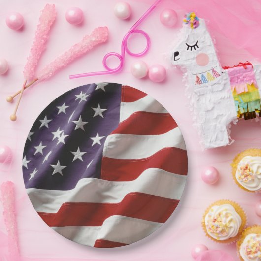 AN American Flag - USA Pappteller (Party)