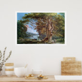 An Ancient Beech Tree, 1794 (oil on canvas) Poster (Küche)