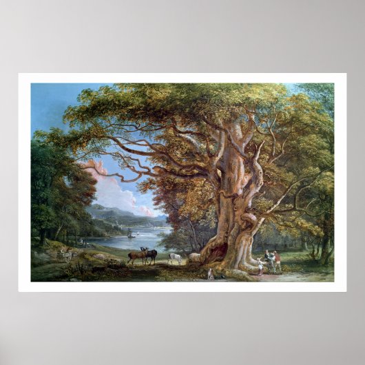 An Ancient Beech Tree, 1794 (oil on canvas) Poster (Vorne)