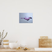 An Angel Sleeps Poster (Küche)