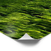 An Angels Direction Poster (Ecke)