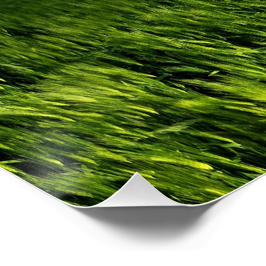 An Angels Direction Poster (Ecke)