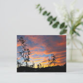 An Arizona Sunset Postkarte (Stehend Vorderseite)