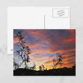 An Arizona Sunset Postkarte (Vorne/Hinten)