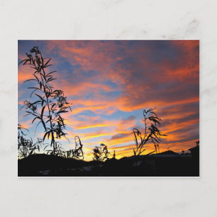 An Arizona Sunset Postkarte