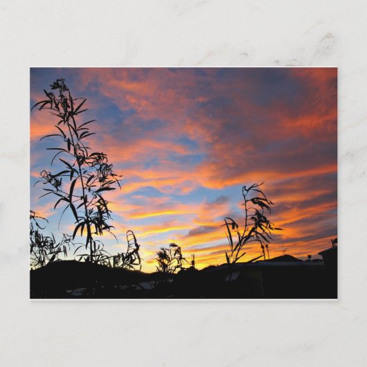 An Arizona Sunset Postkarte (Vorderseite)
