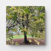 An autumn walk fotoplatte (Vorderseite)