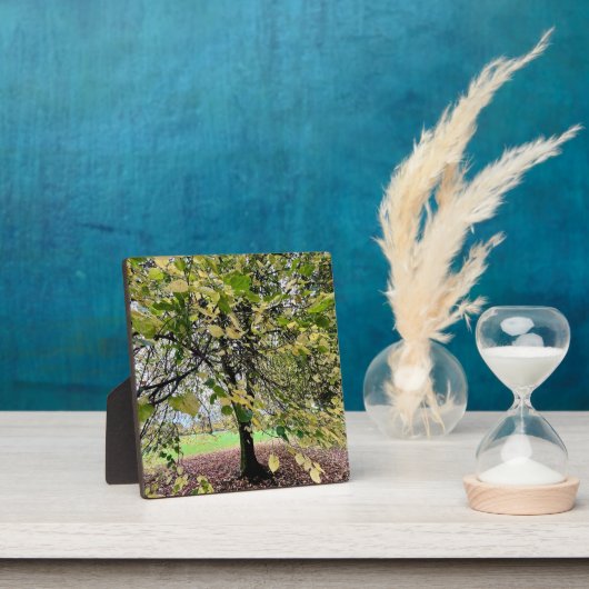 An autumn walk fotoplatte (InSitu)