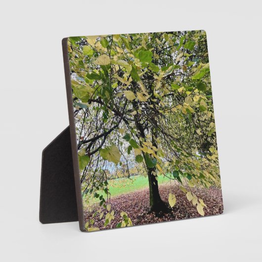 An autumn walk fotoplatte (Vorderseite)