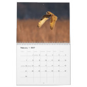 An Avian Potpourri 2025 Kalender (Feb 2027)