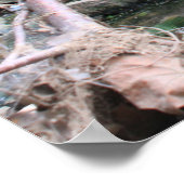 An den Flüssen und Felsen Poster (Ecke)