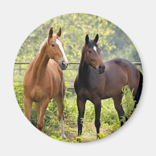 An der Aufmerksamkeit Magnet