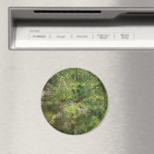 An der Bucht...... Magnet (In Situ (Geschirrspüler))