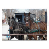 An der Hitching Post (Vorderseite (Horizontal))