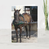 An der Hitching Post Karte (Vorderseite)