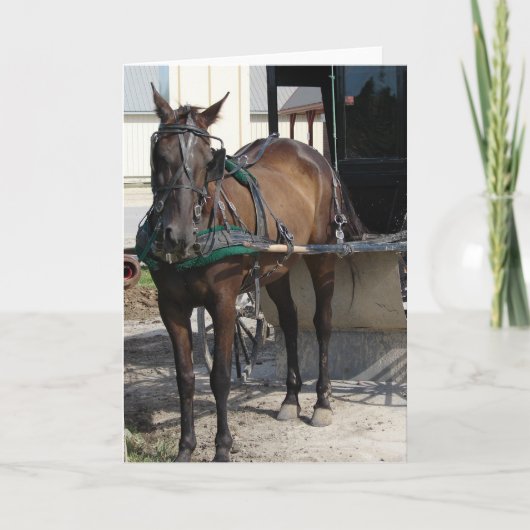 An der Hitching Post Karte (Vorderseite)