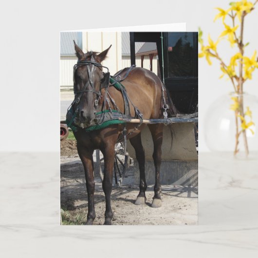 An der Hitching Post Karte (Gelbe Blume)