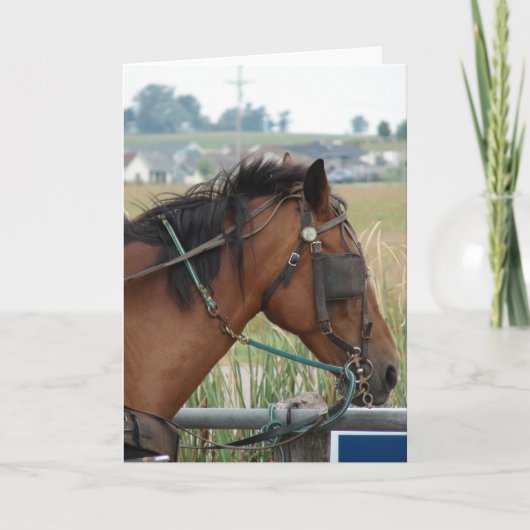 An der Hitching Post Karte (Vorderseite)