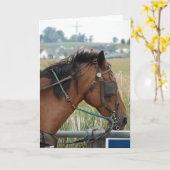 An der Hitching Post Karte (Gelbe Blume)