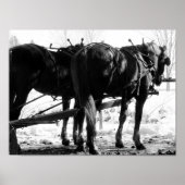 An der Hitching Post Poster (Vorne)