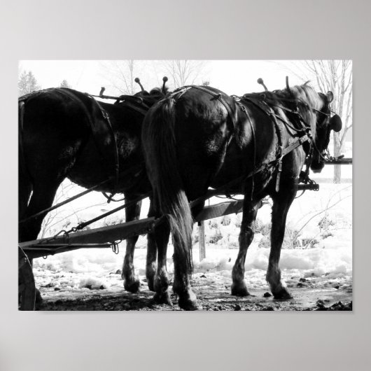 An der Hitching Post Poster (Vorne)