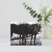 An der Hitching Post Postkarte (Stehend Vorderseite)