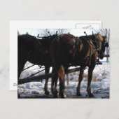 An der Hitching Post Postkarte (Vorne/Hinten)