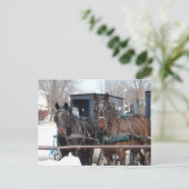 An der Hitching Post Postkarte (Stehend Vorderseite)