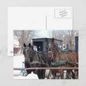 An der Hitching Post Postkarte (Vorne/Hinten)