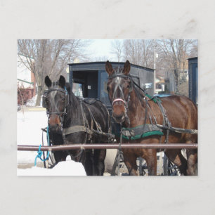 An der Hitching Post Postkarte