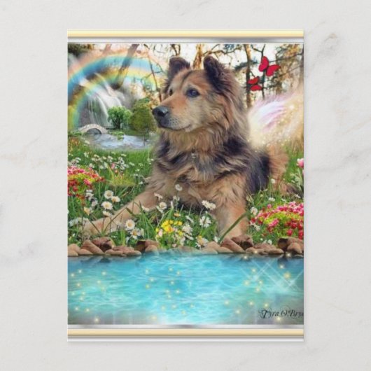 An der Rainbow Bridge gewartet Postkarte (Vorderseite)