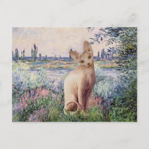 An der Seine - Cream Sphynx Katze Postkarte