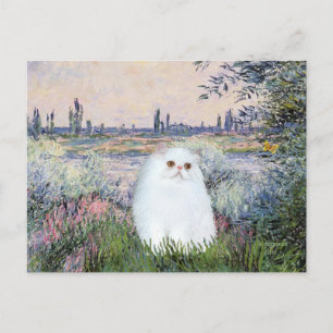 An der Seine - Weiße Perserkatze #49 Postkarte
