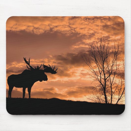 an der Sonnenuntergang-Mausunterlage Mousepad (Vorne)
