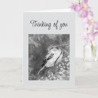 An Dich Denkender Wasserfarben-Spatz im Wald