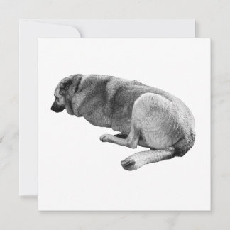 An Easy Place to Be Einladung