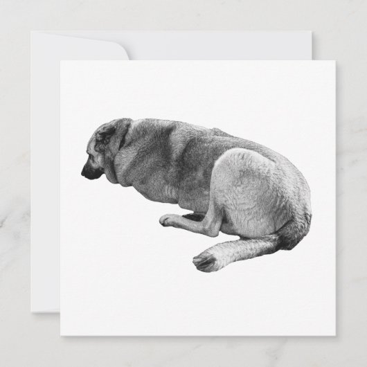 An Easy Place to Be Einladung (Vorderseite)