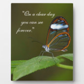 "An einem vollen Tag" Glasswing Fotoplatte (Vorderseite)