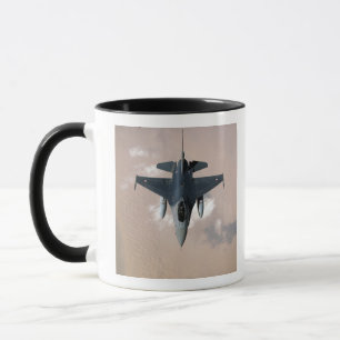 An Emirati F-16 Tasse