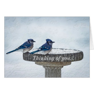 An Ihrer Seite durch den Sturm denken Sie an Sie